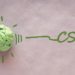 CSR banner