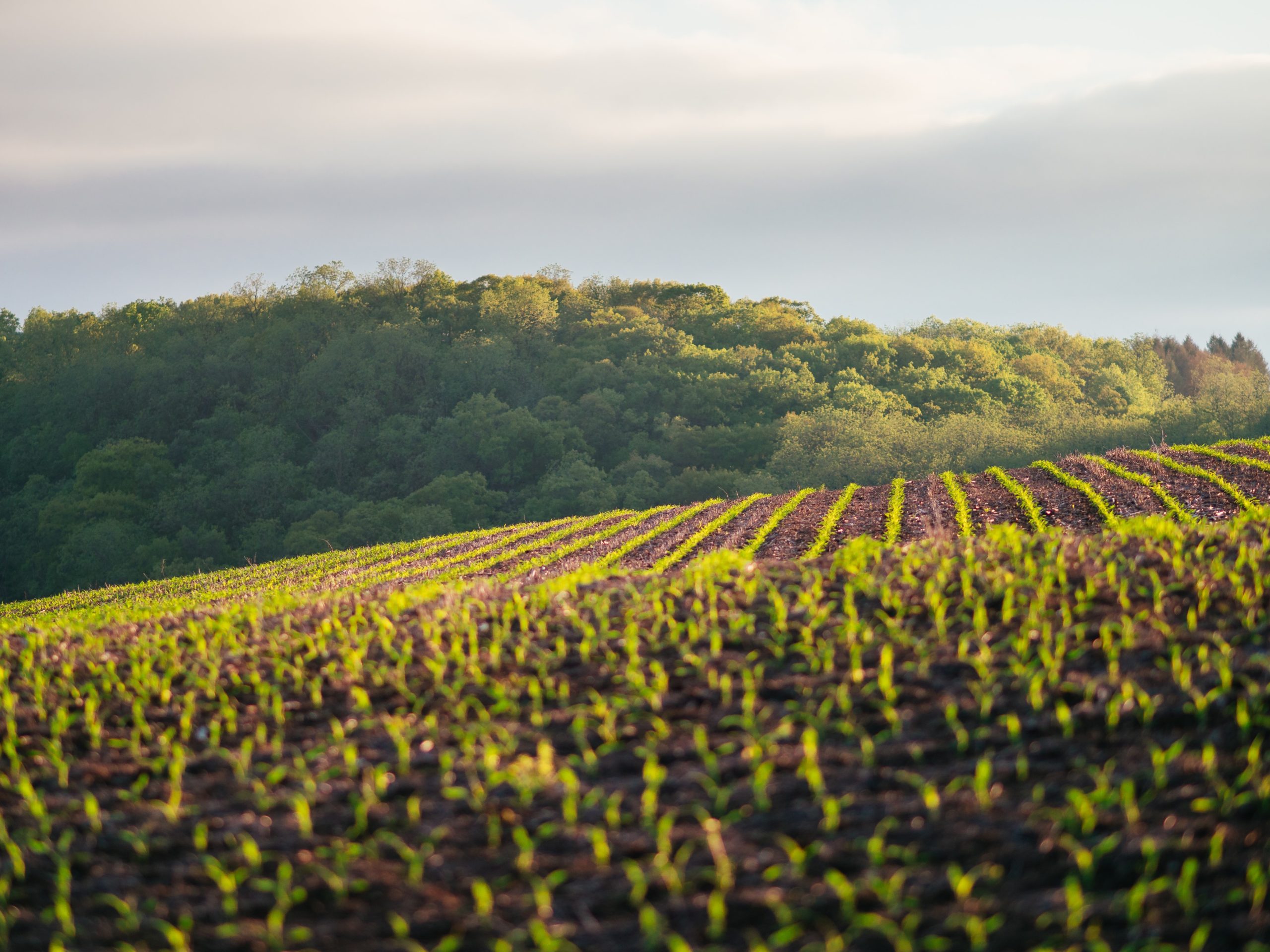 Land Acquisition management