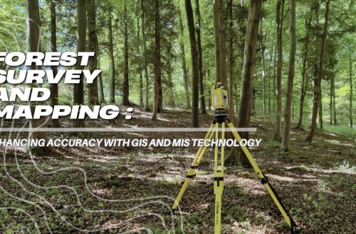 forest survey and mapping enhancing accuracy with gis and mis technology