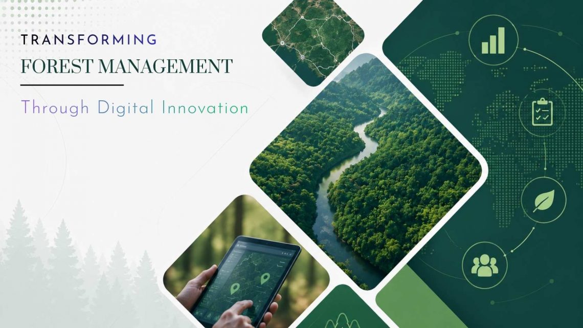 transforming forest management through digital innovation