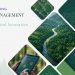 transforming forest management through digital innovation