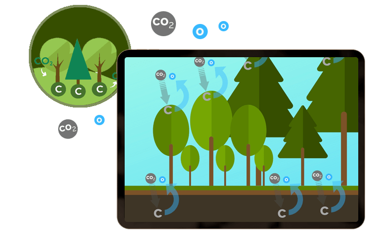 carbon sequestration process using gis & remotesensing technology 