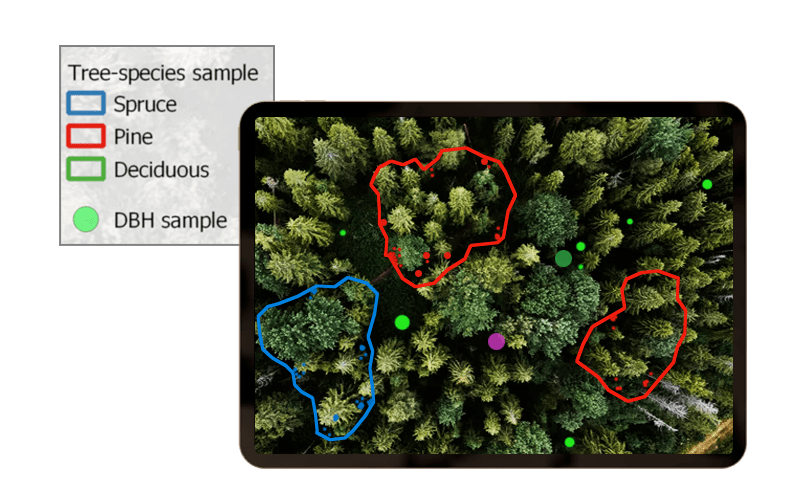 growing stock assessment of forest resources, through satellite images