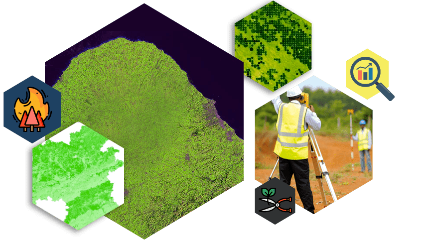 plantation & forestry monitoring solution, dgps survey, with ndvi, pvi index